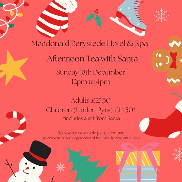 Afternoon Tea with Santa  (002)