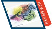 NEWSFLASH (4)
