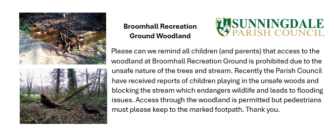 Broomhall Recreation Ground Woodland General