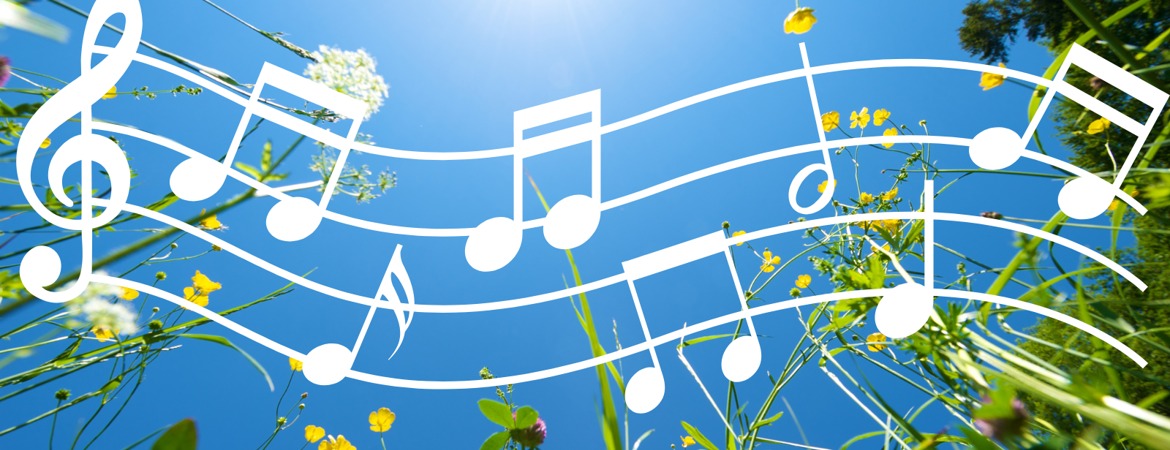 Blog Header Image