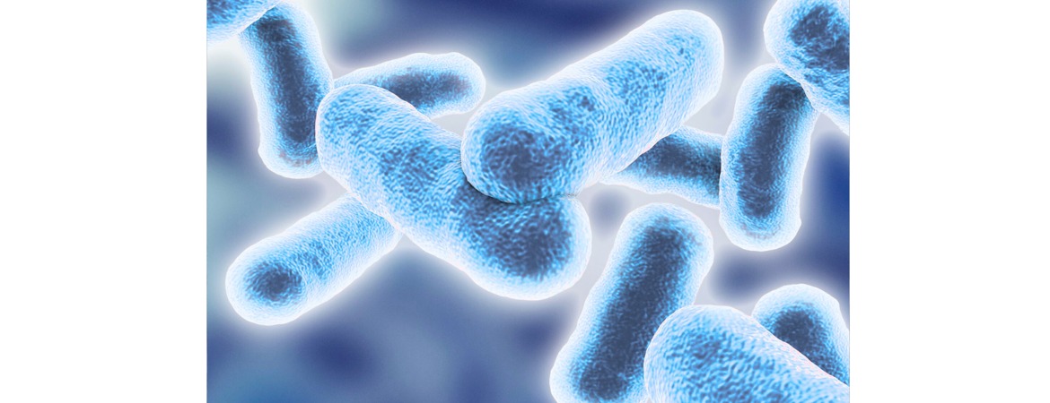 Blog Header Image