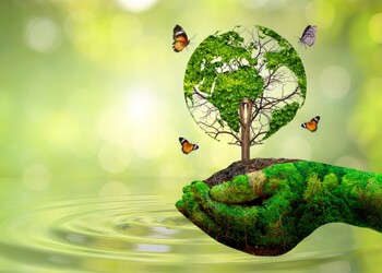 Success in Eco-Tournament 2026