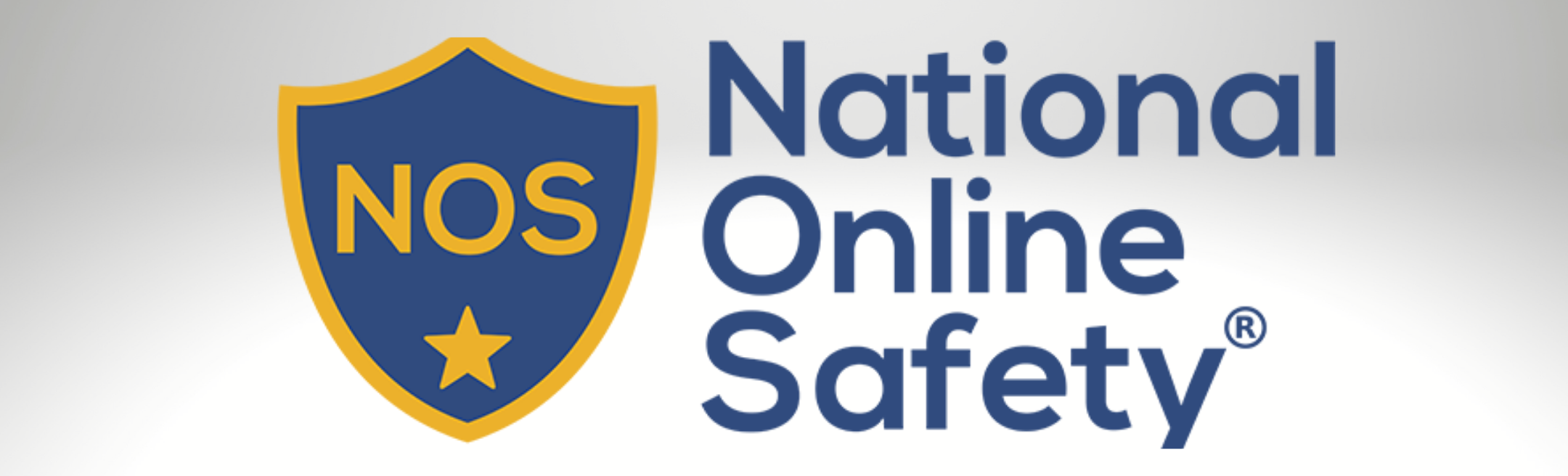 NATIONAL ONLINE SAFETY Copy