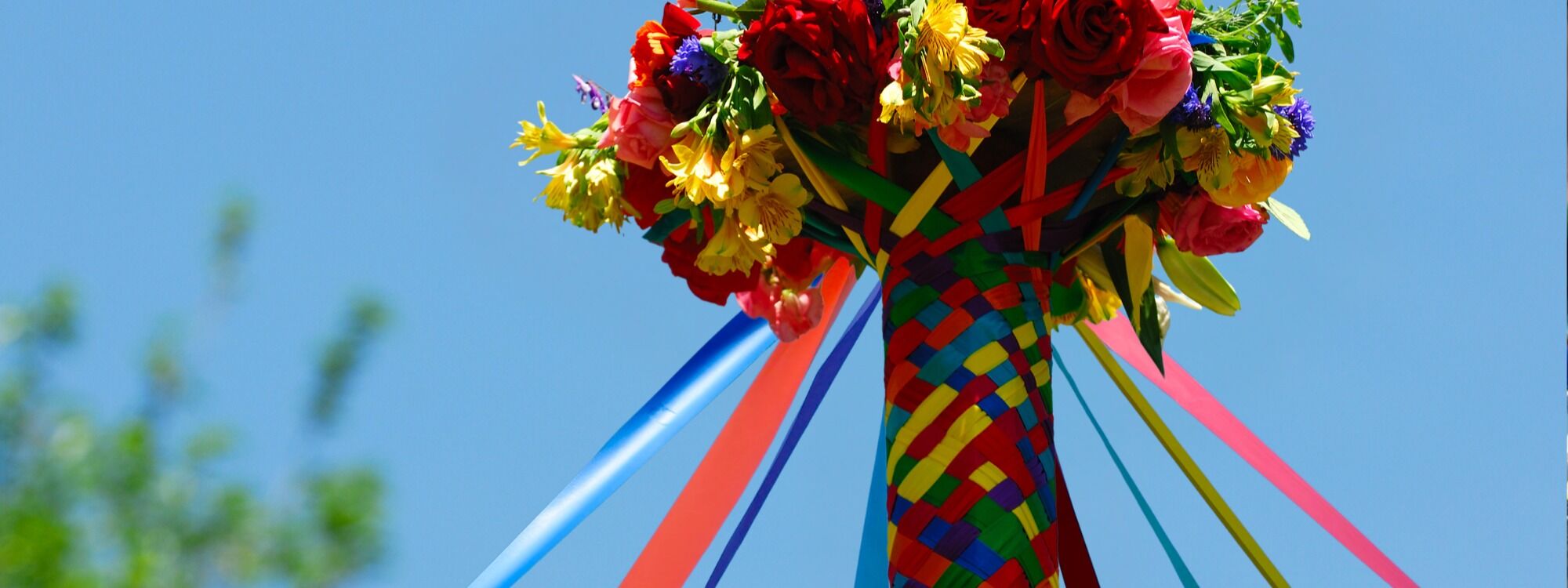  Newsletter page header  (2)