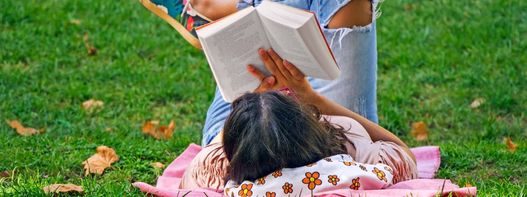  Newsletter page header  (28)